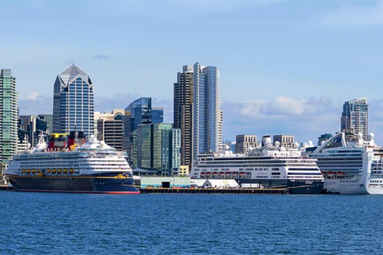 Chartered Cruises